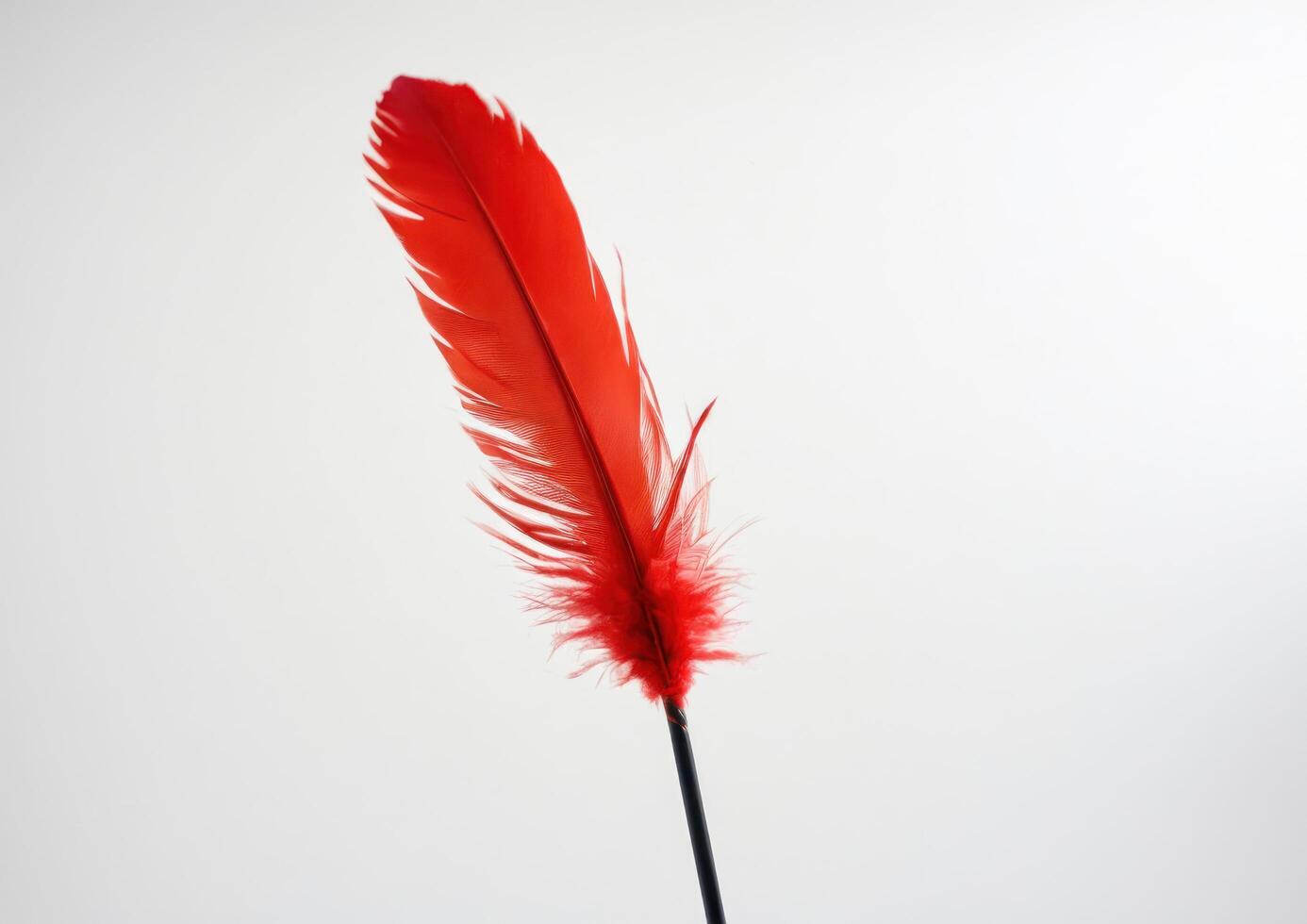 a red ostrich and an inverted long black stalk, photo