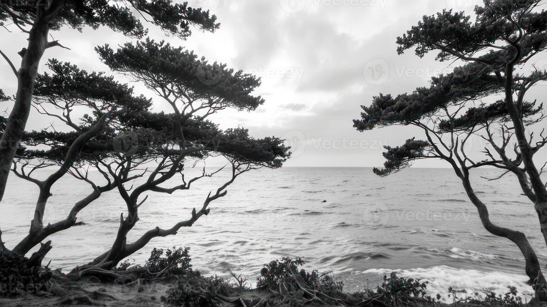 a couple of animals are standing by some trees, photo