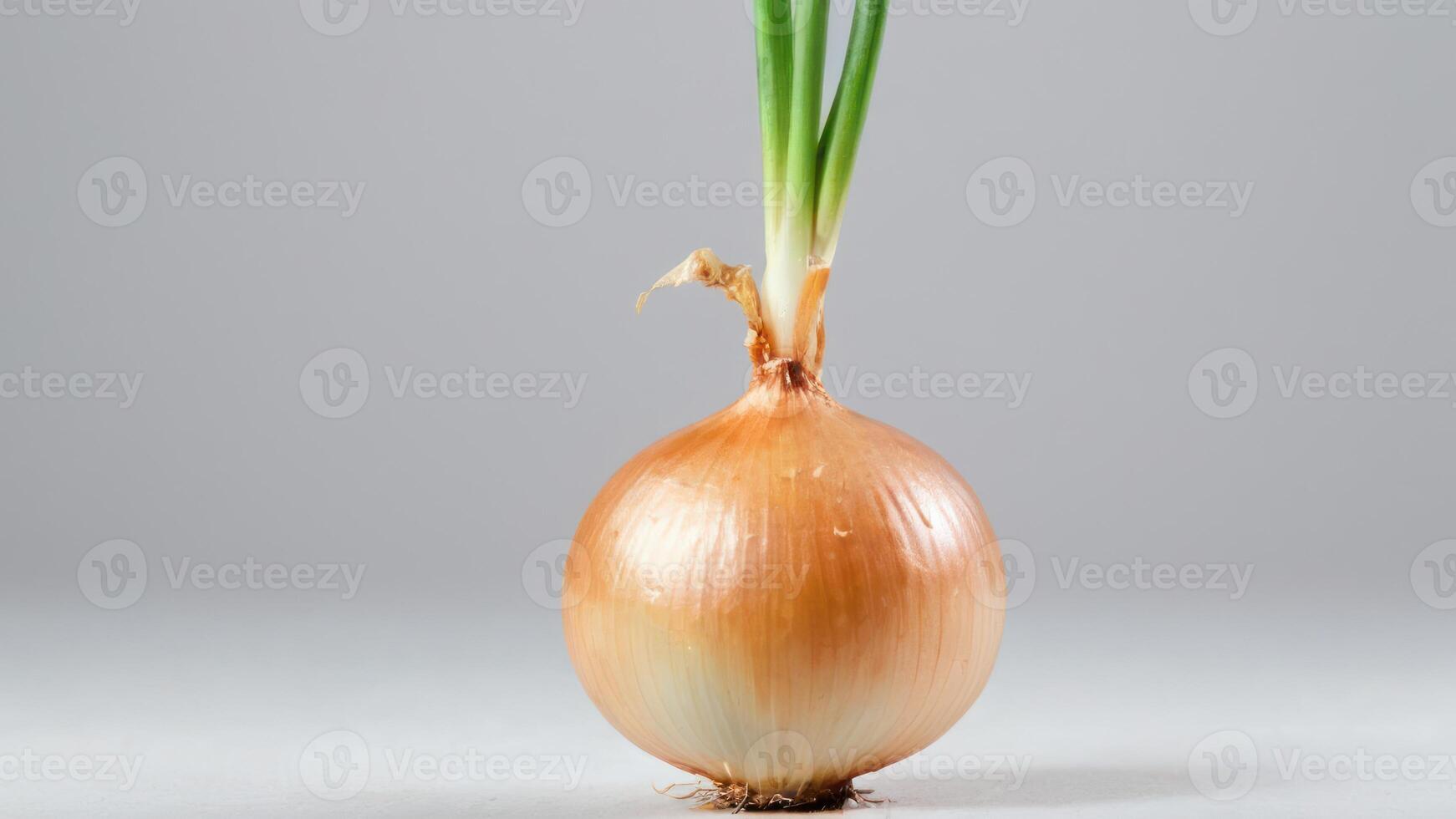 an onion with roots and green leaves out, photo
