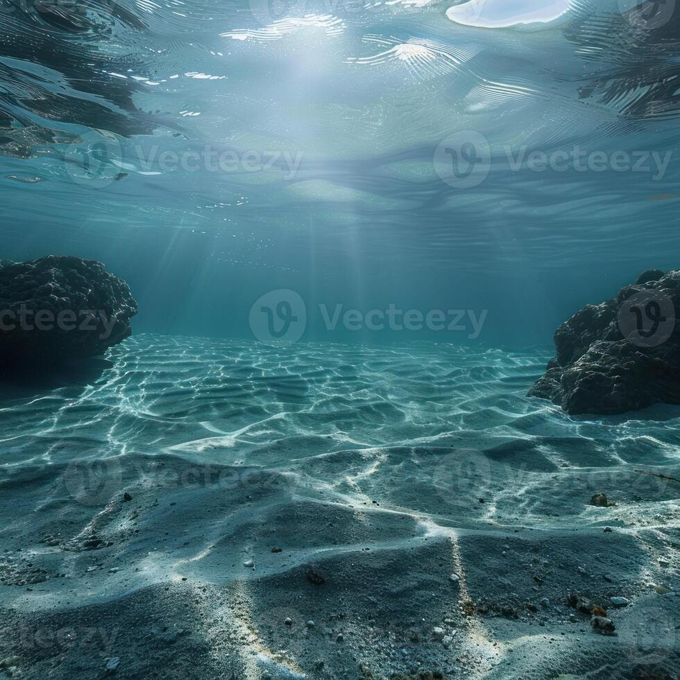 the water with rocks in it really looks like a fishscape, photo