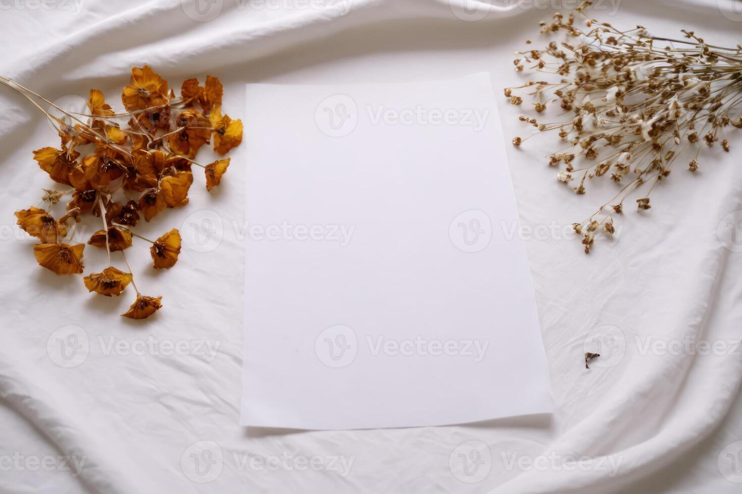dried plants against white sheets with sheet on bed, photo
