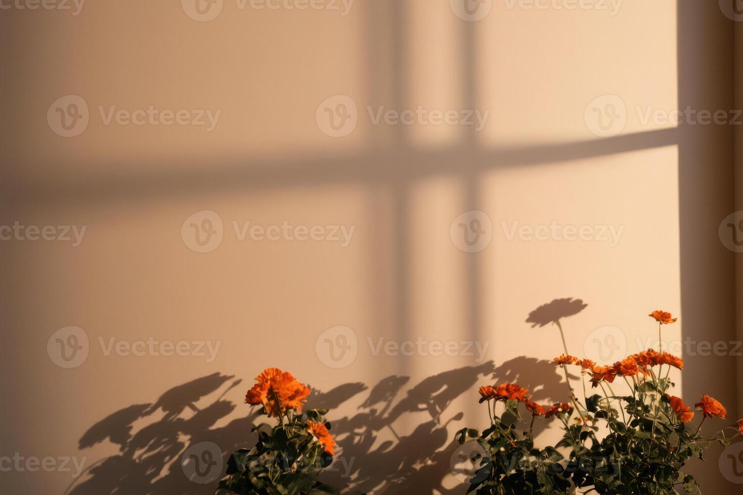 the shadow on the wall from a window shows bright flowers, photo