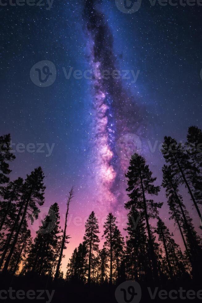 the milky is visible behind a cluster of trees, photo