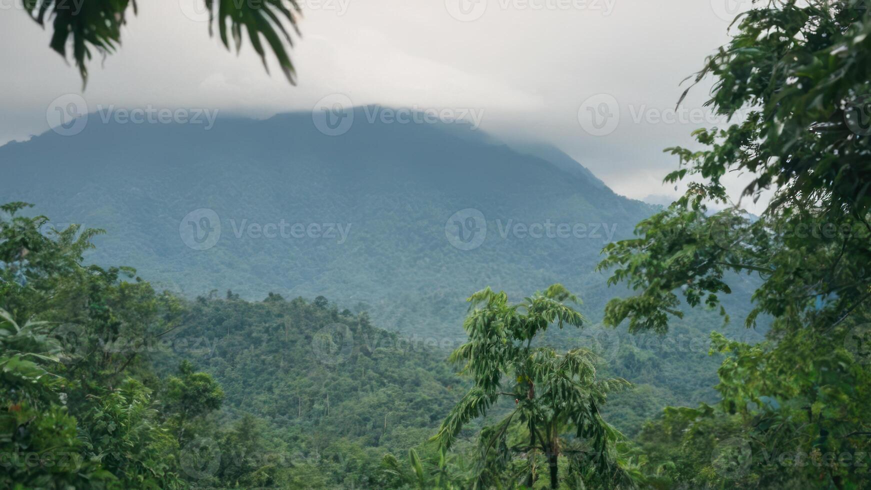 the view of mountains that are in front of trees, photo