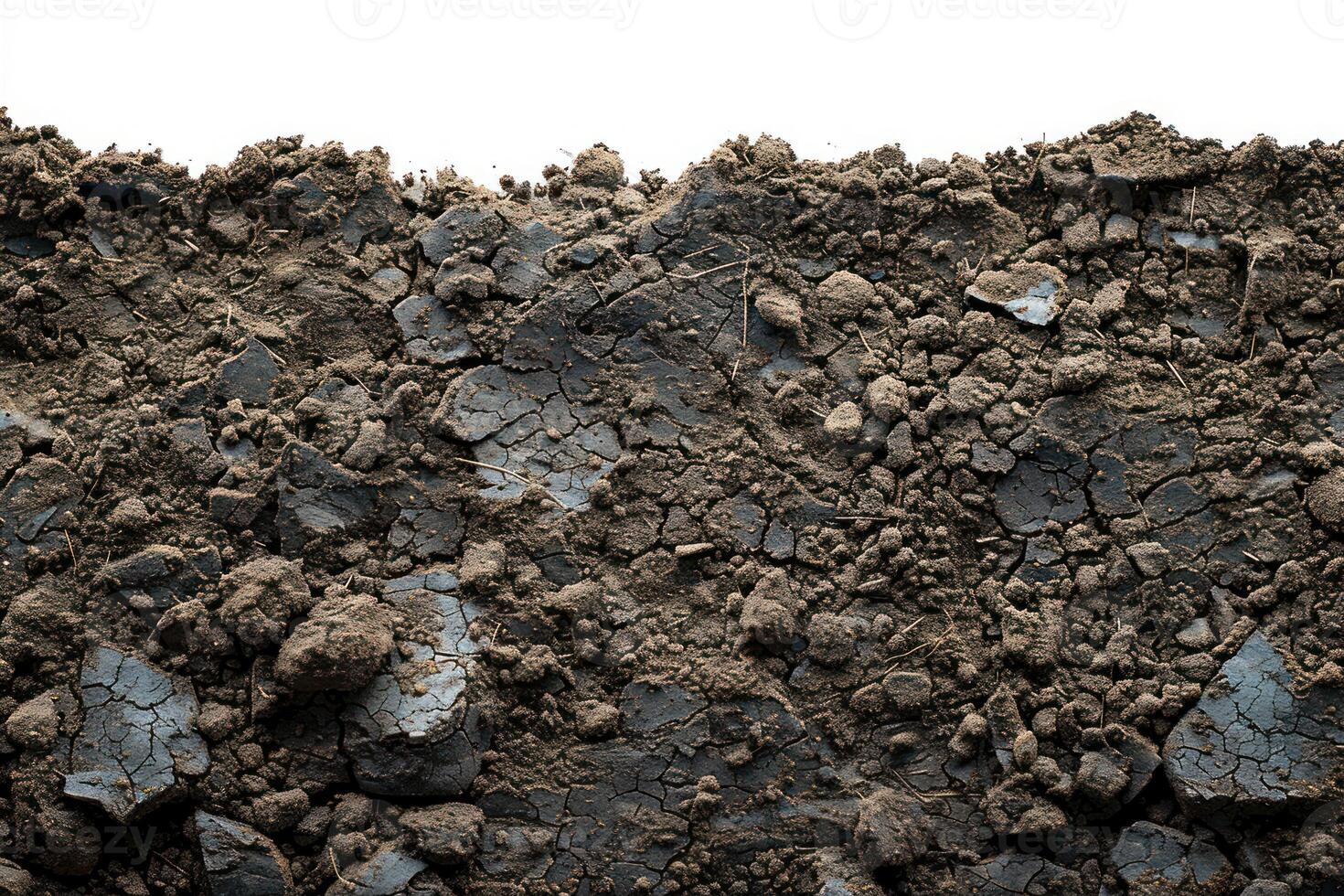 there is some dirt and grass by itself, photo