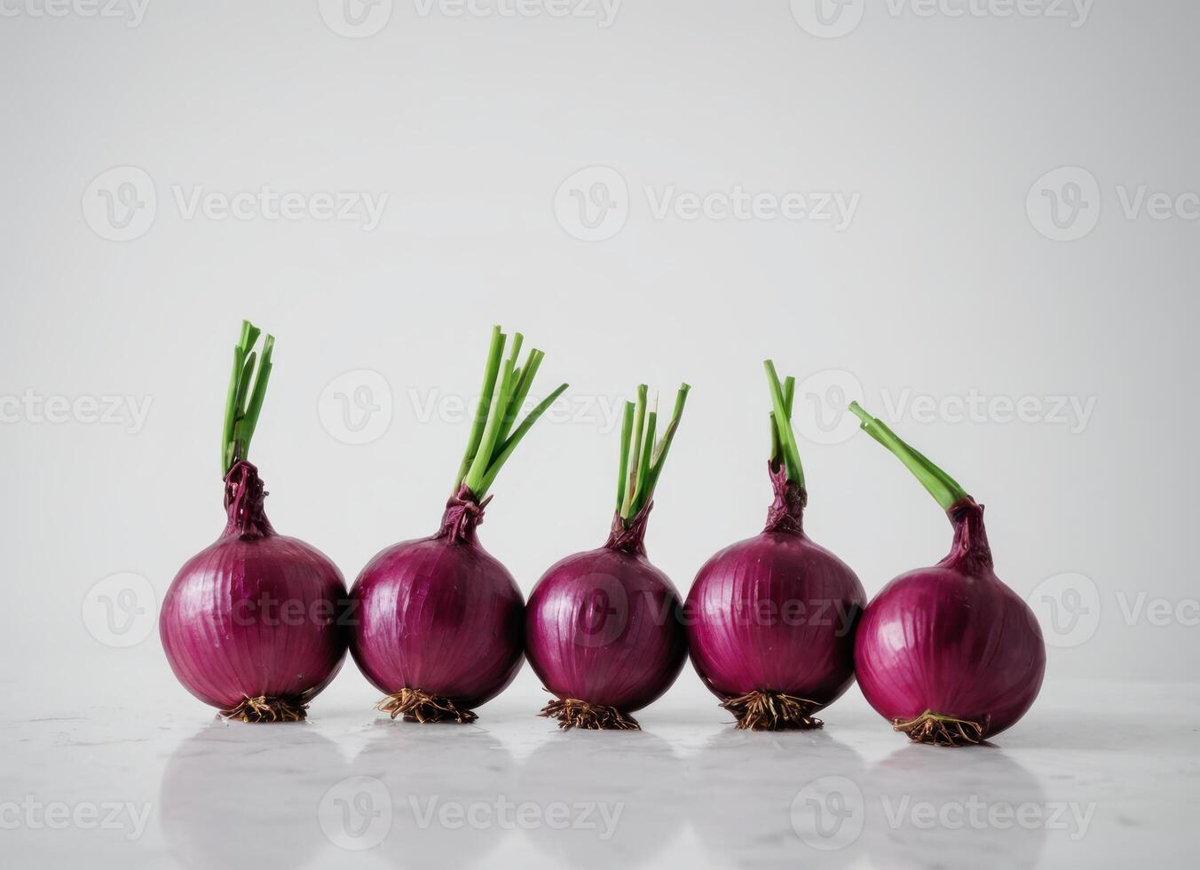 small onions are lined up in a line on a counter, photo