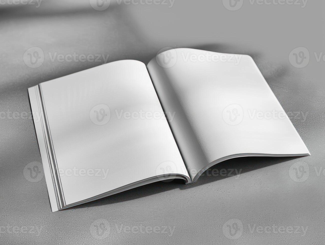 an empty spread pages are displayed in a picture, photo
