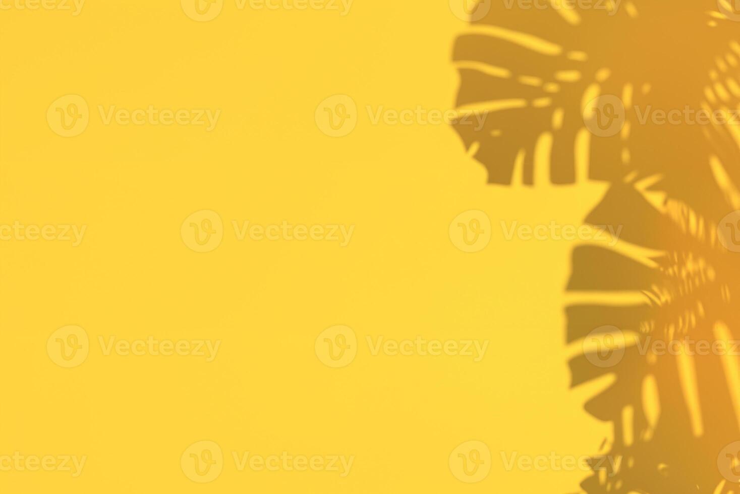 Top View of Monstera Leaf with Copy Space in 3D Rendering photo