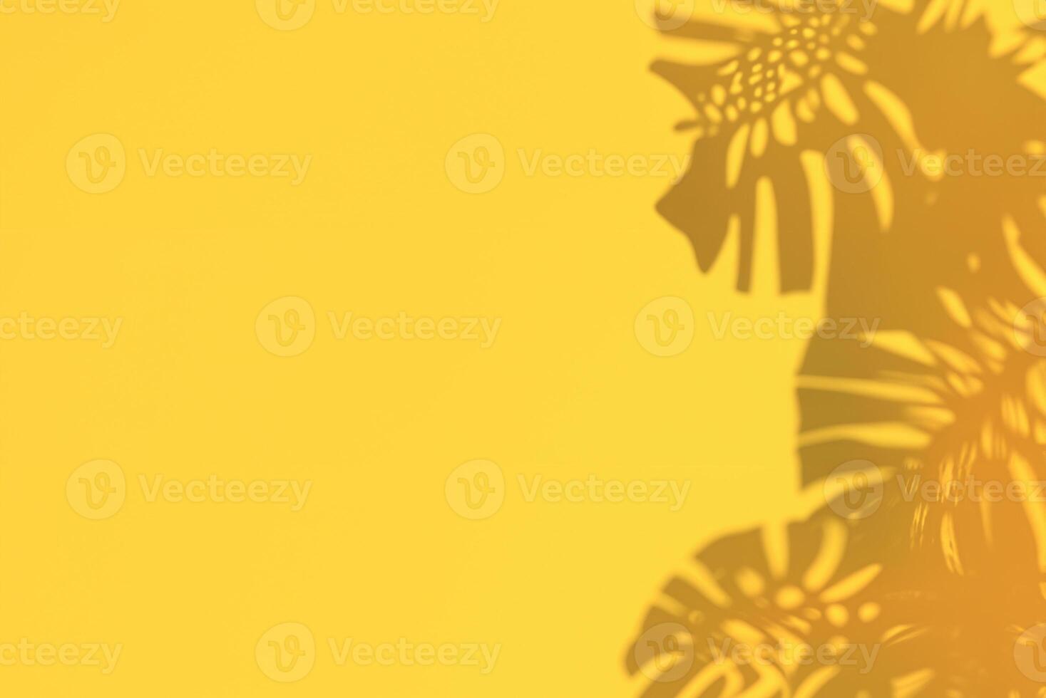 Top View of Monstera Tropical Leaf with Copy Space - 3D Render photo
