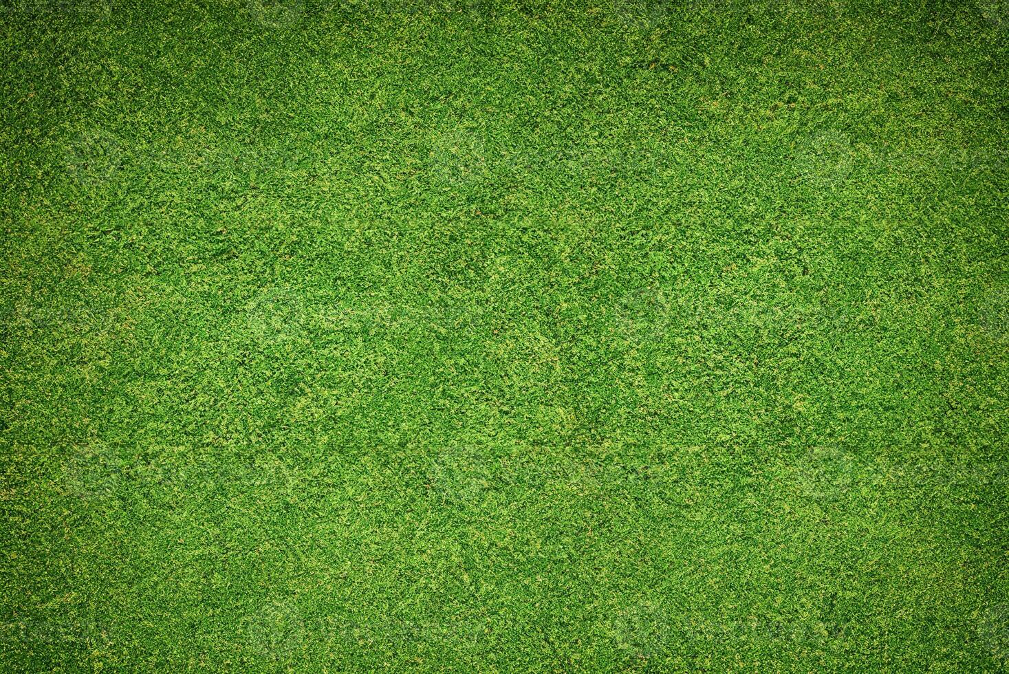 Green Grass Texture Background photo