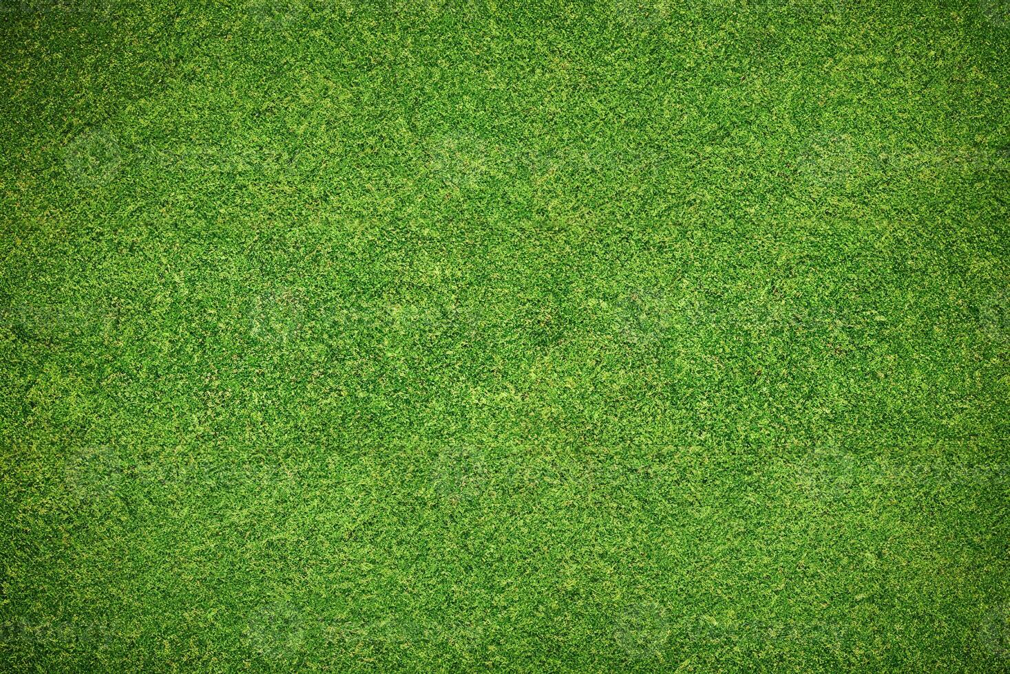 Vibrant Green Grass Texture Background for Natural and Environmental Concepts photo