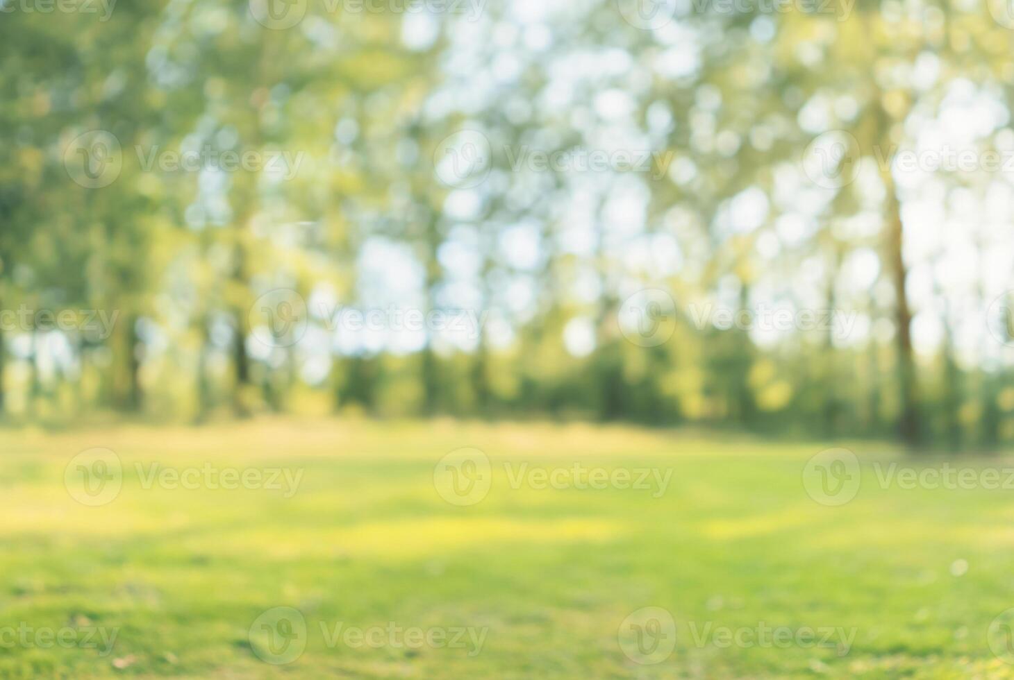 Green Nature Bokeh with Sunlight on Empty Old Wood Table - Abstract Background photo