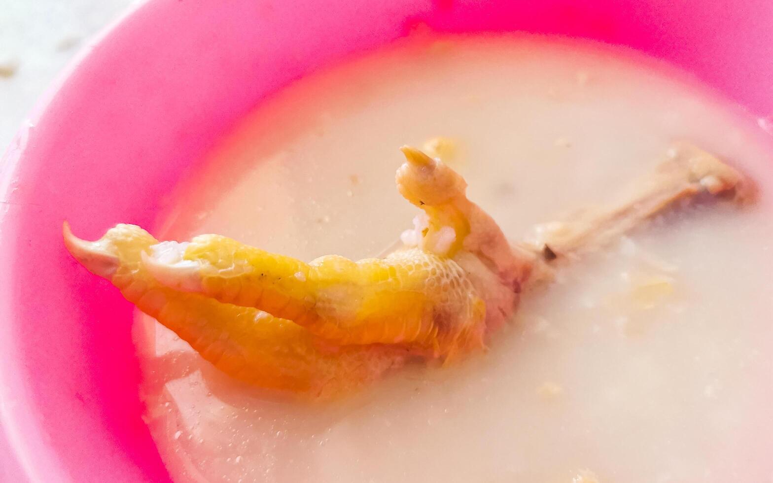 Corner meat meal with chicken feet legs in a bowl. photo