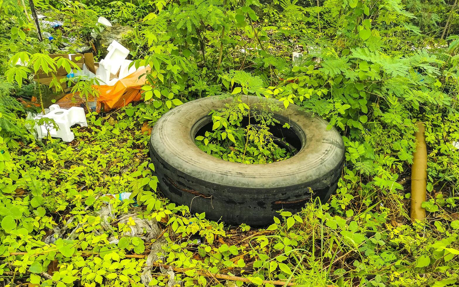 Waste garbage pollution car tires packaging in tropical jungle nature. photo