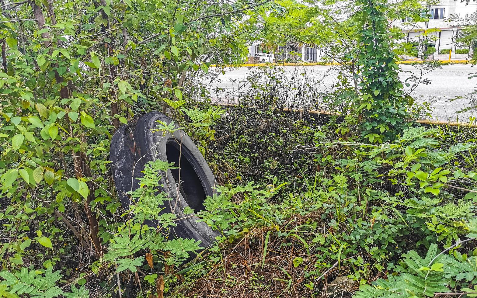 Waste garbage pollution car tires packaging in tropical jungle nature. photo