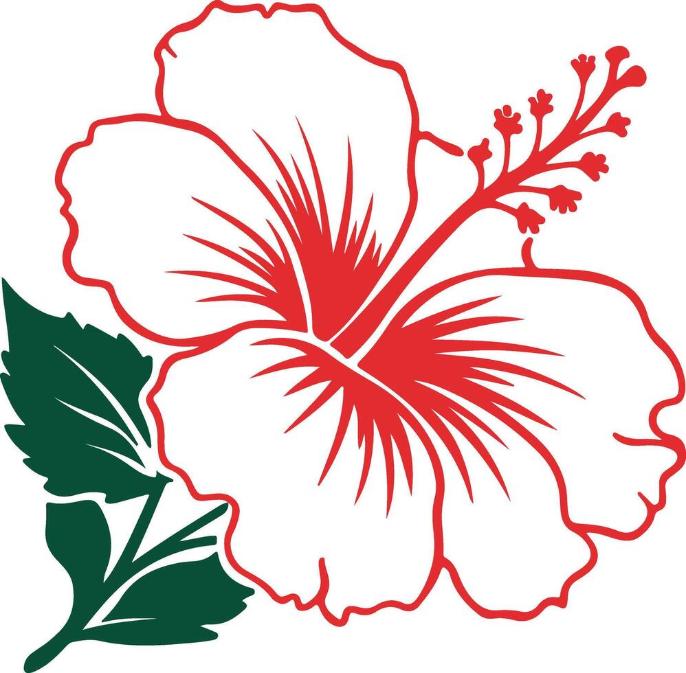 red hibiscus flower, red hibiscus, red hibiscus on white and red with green leaf, hibiscus flowers vector