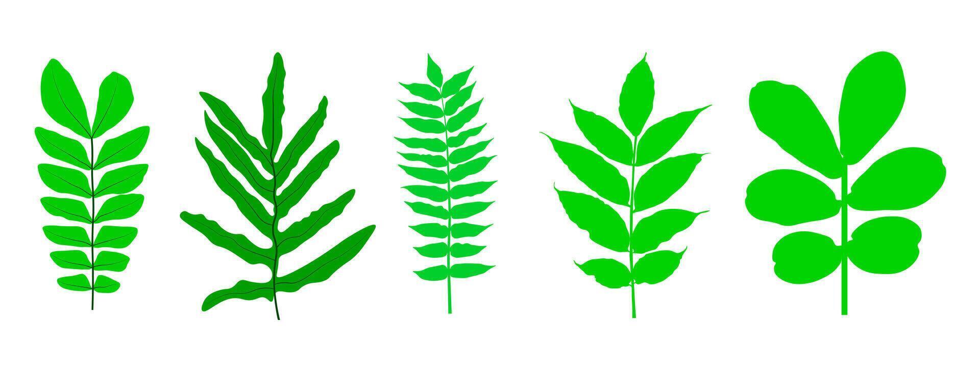 Set of Green growing plant sprout leaves. illustration. green tree leaf vector