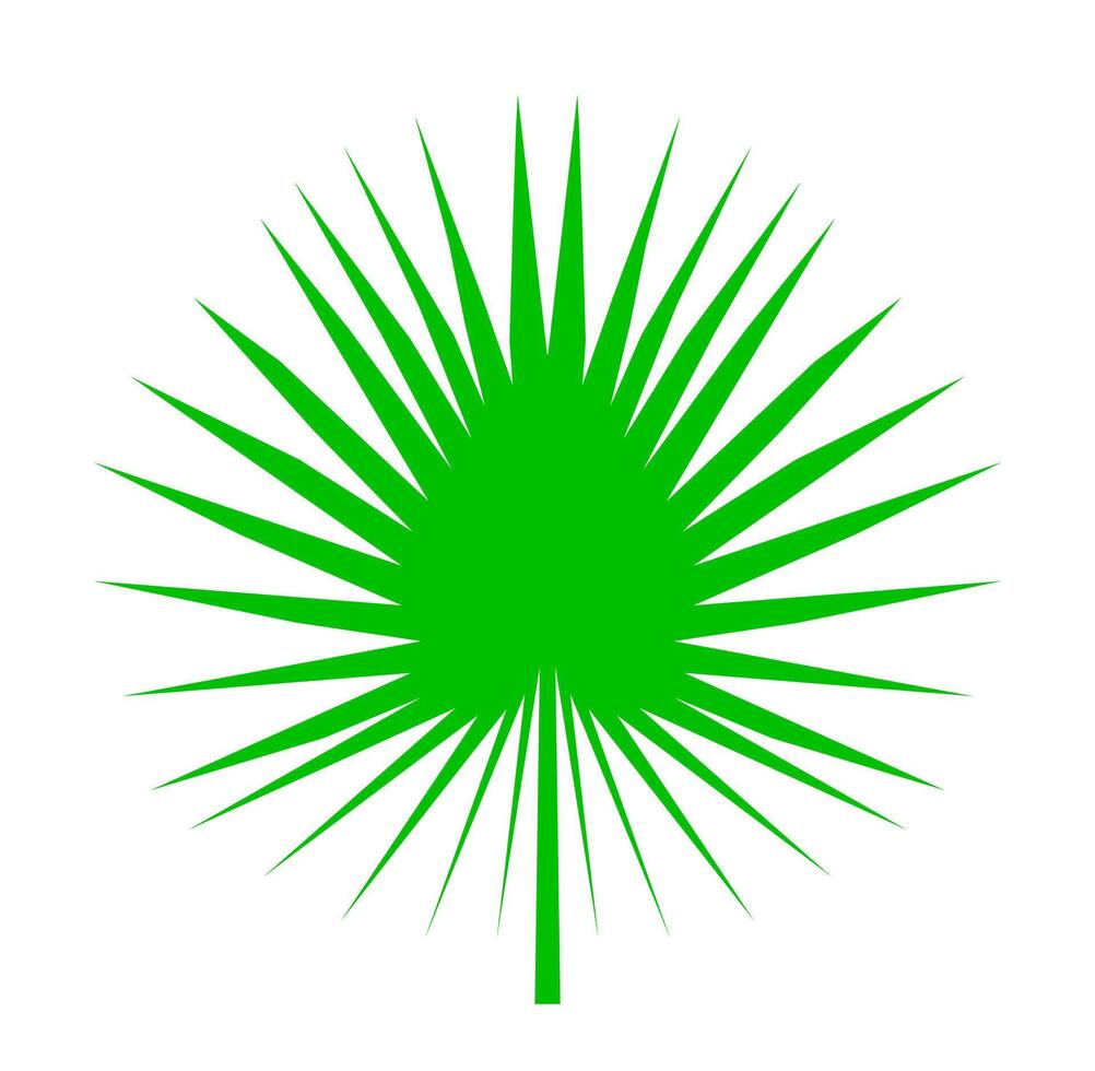The leaves of the Palm tree illustration. vector