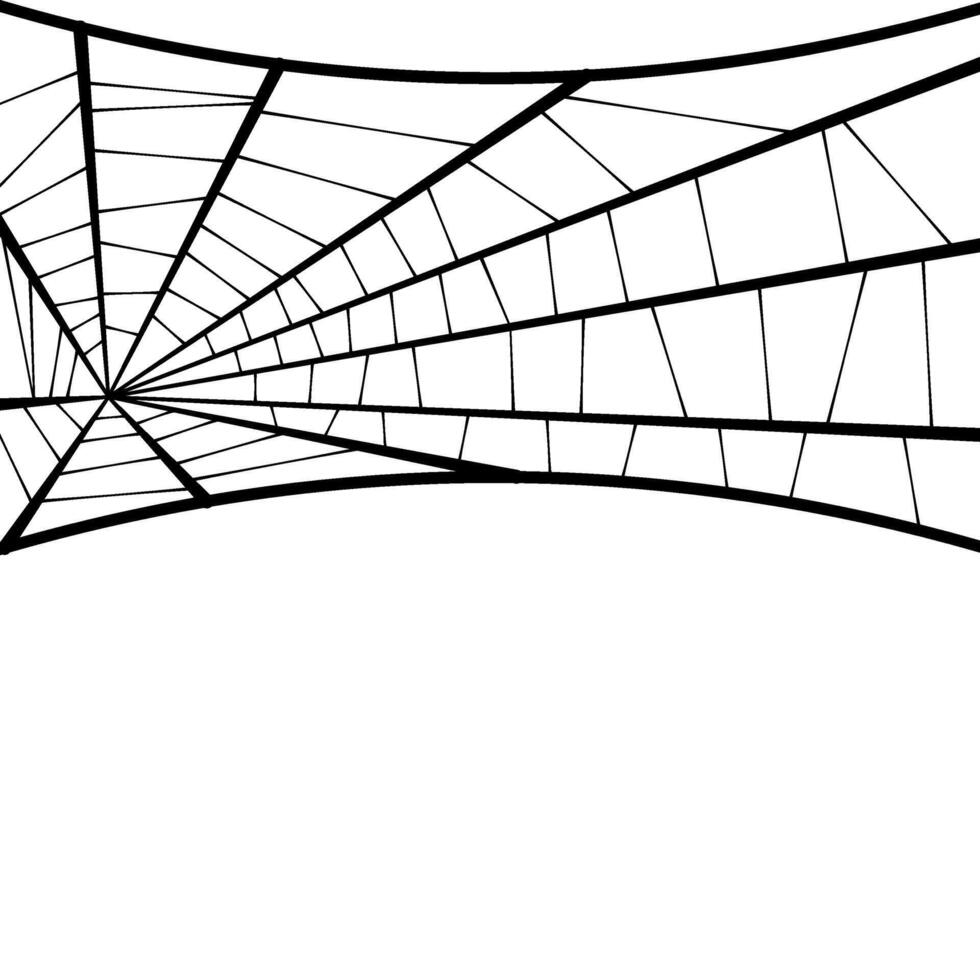 Halloween Spider Web Border vector