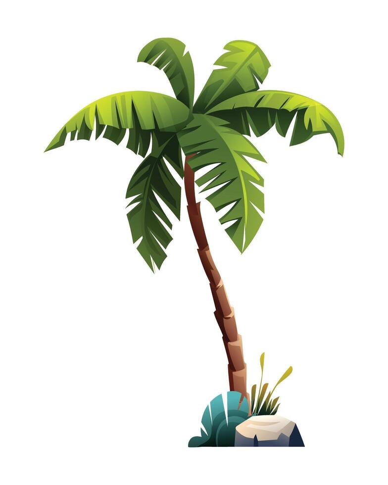 Tropical coconut palm tree. Cartoon illustration vector