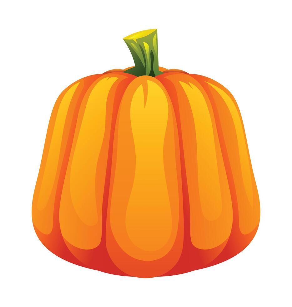 Pumpkin illustration isolated on white background vector