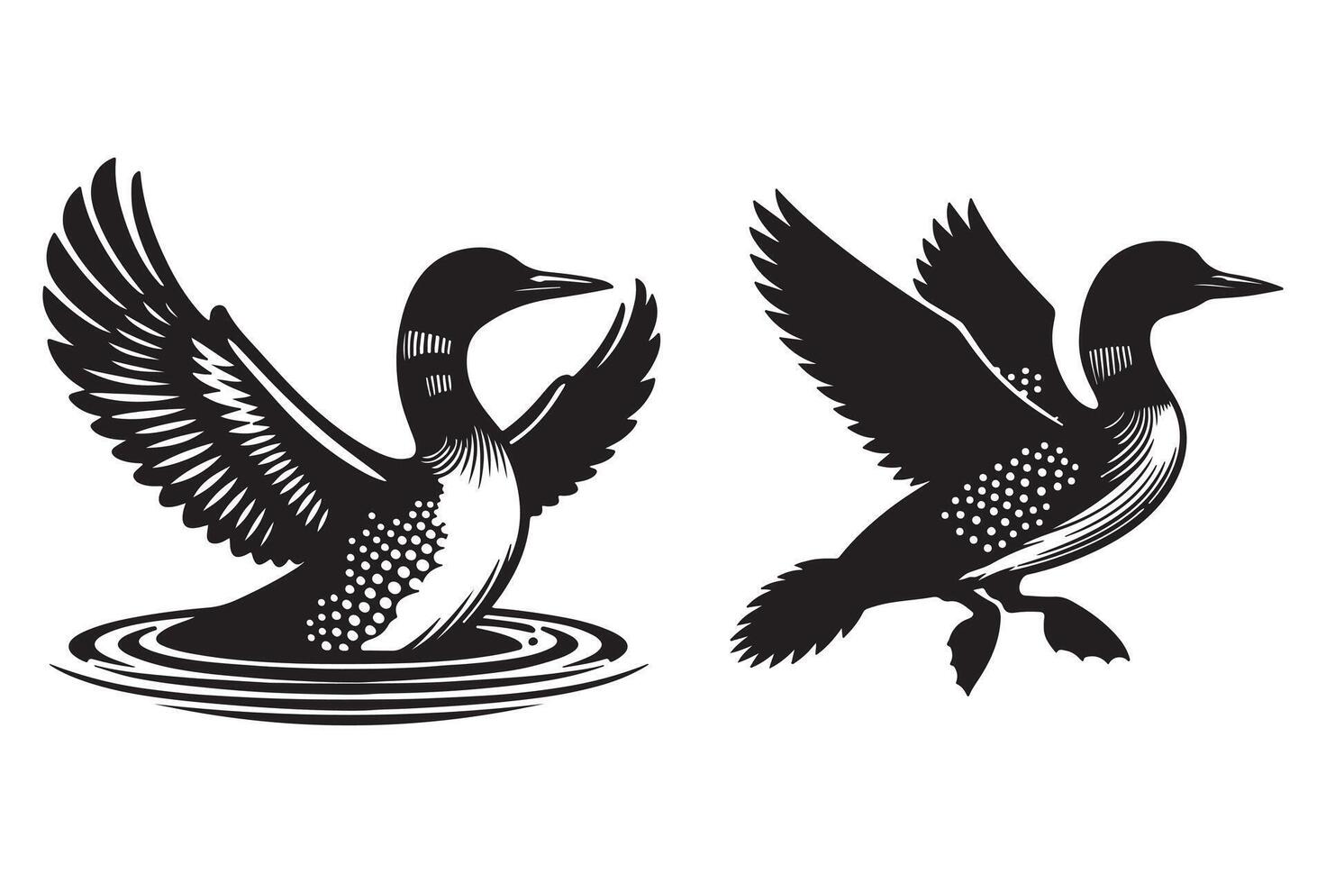 Loon silhouette art illustration with white background vector