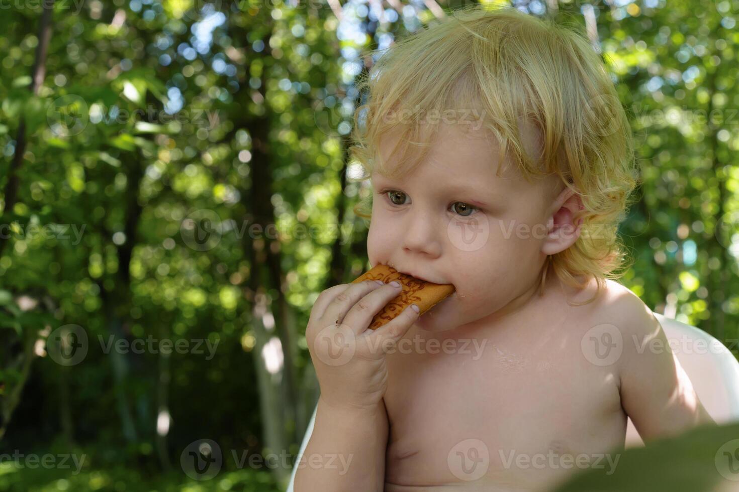 Carefree toddler with blond, curly locks reveling in the simple pleasure of eating a cookie, nestled amidst the vibrant greenery of garden trees on a radiant summer day photo