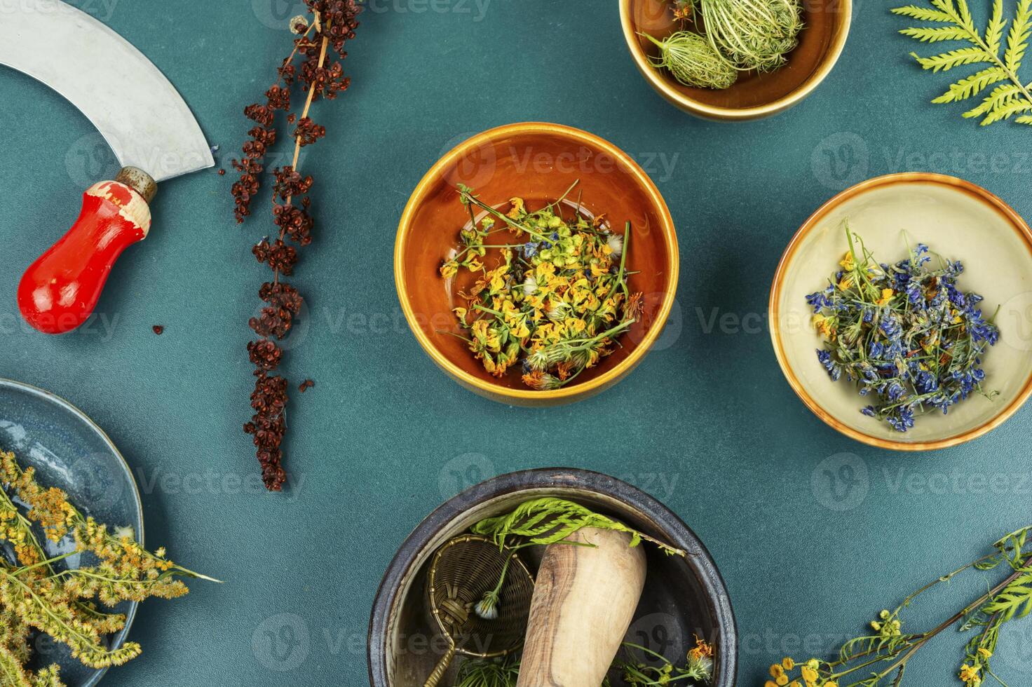 Medicinal and healing herbs photo