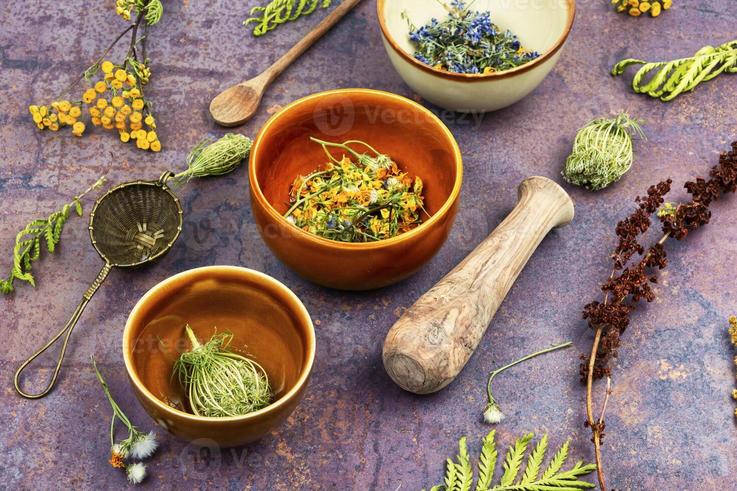 Medicinal and healing herbs photo