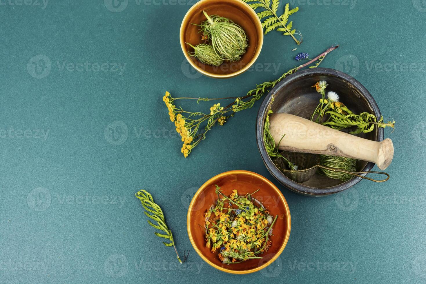 Medicinal and healing herbs photo