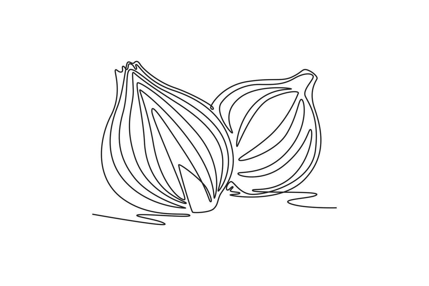 Continuous one line drawing of whole and sliced healthy organic bulb onion for groceries logo identity. Fresh common onion concept vegetable icon. Single line draw design graphic illustration vector