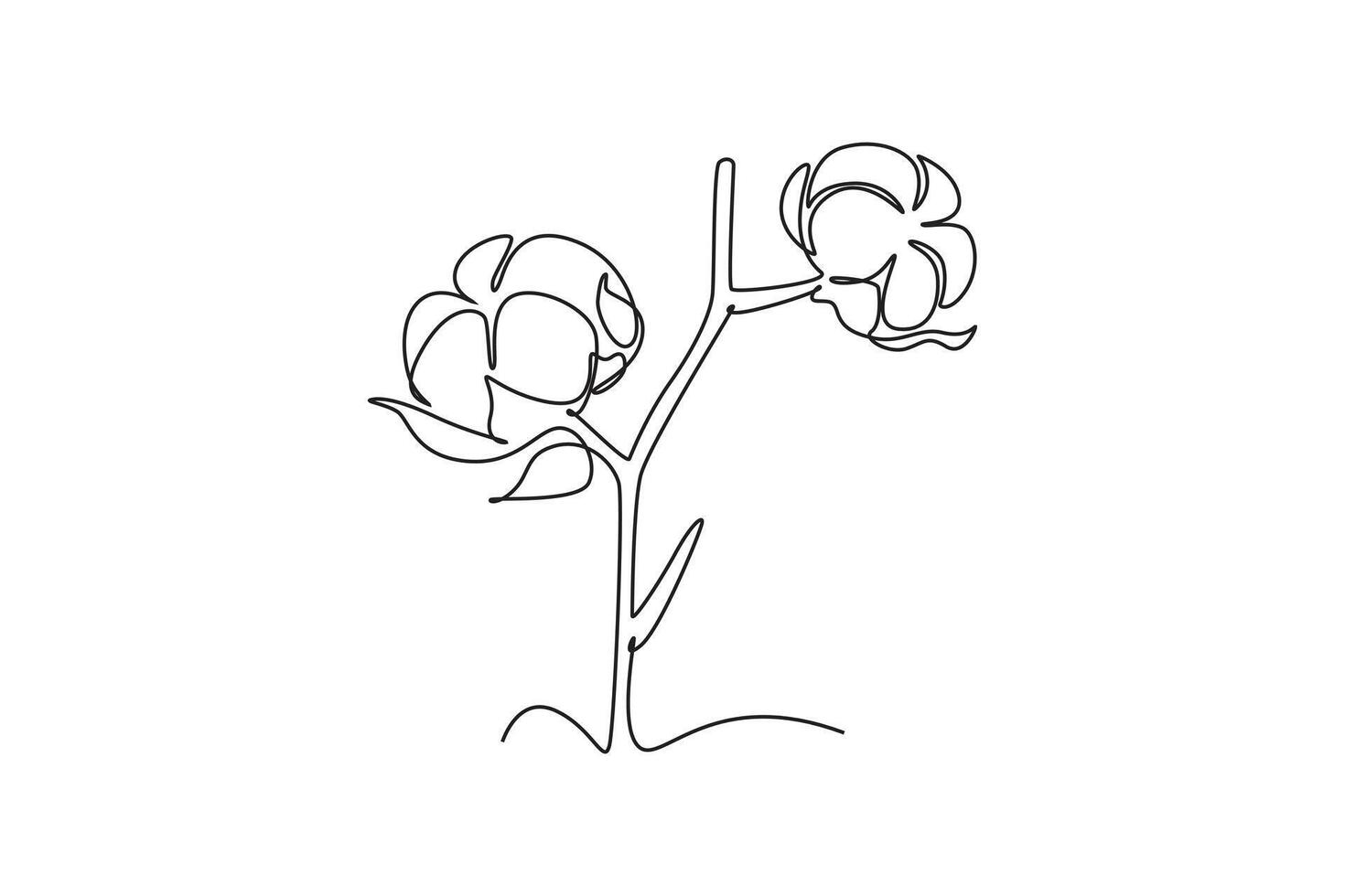 Single continuous line drawing of whole soft and fluffy cotton flower for farming logo identity. Staple fiber flower concept for garden icon. Dynamic one line draw graphic design illustration vector