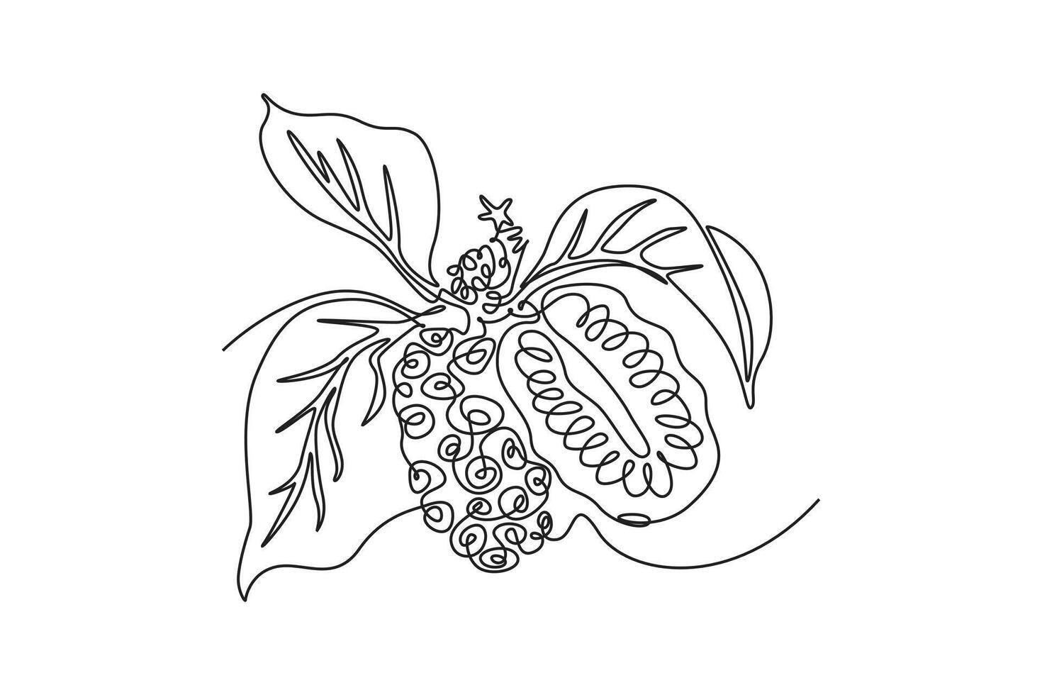 Single one line drawing of whole and half sliced healthy organic noni for logo identity. Fresh morinda citrifolia concept for fruit garden icon. Continuous line draw design graphic illustration vector