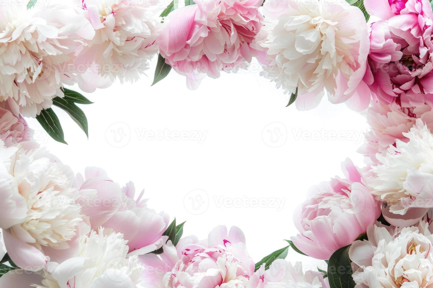 Banner with peonies and empty space for design. photo