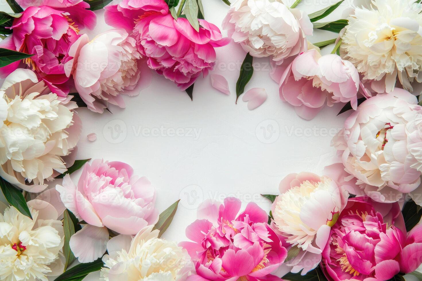 Banner with peonies and empty space for design. photo