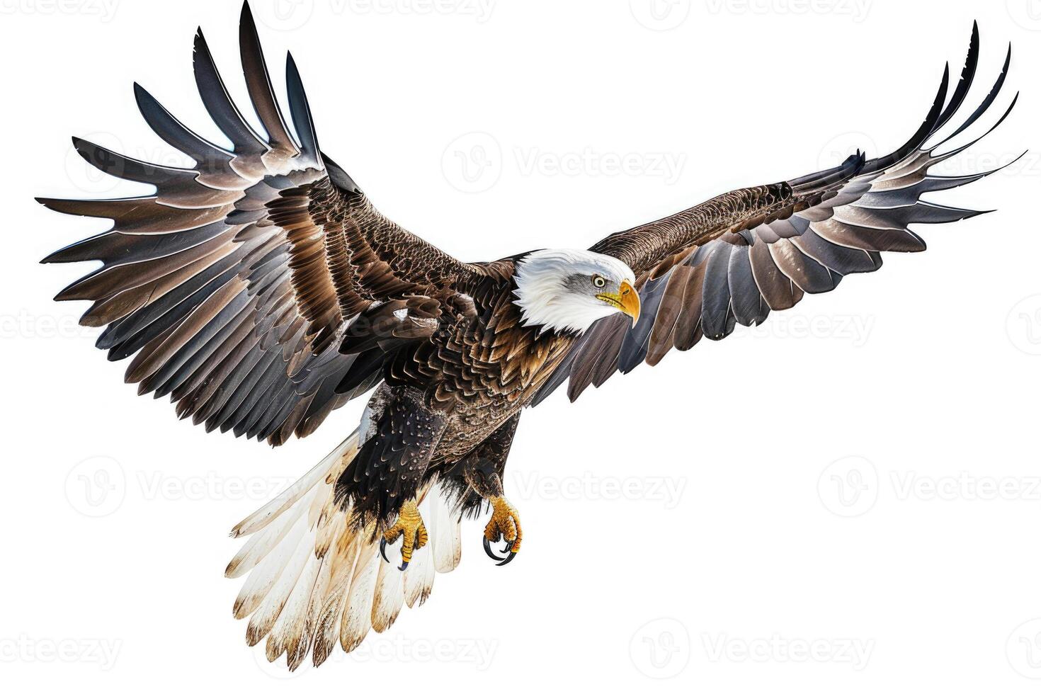 An eagle soaring with wings spread. photo