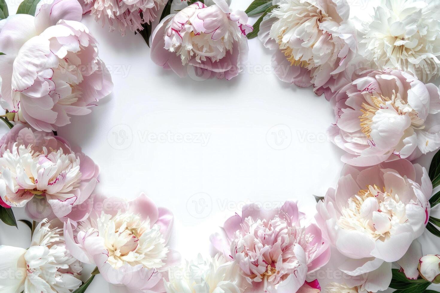 Banner with peonies and empty space for design. photo