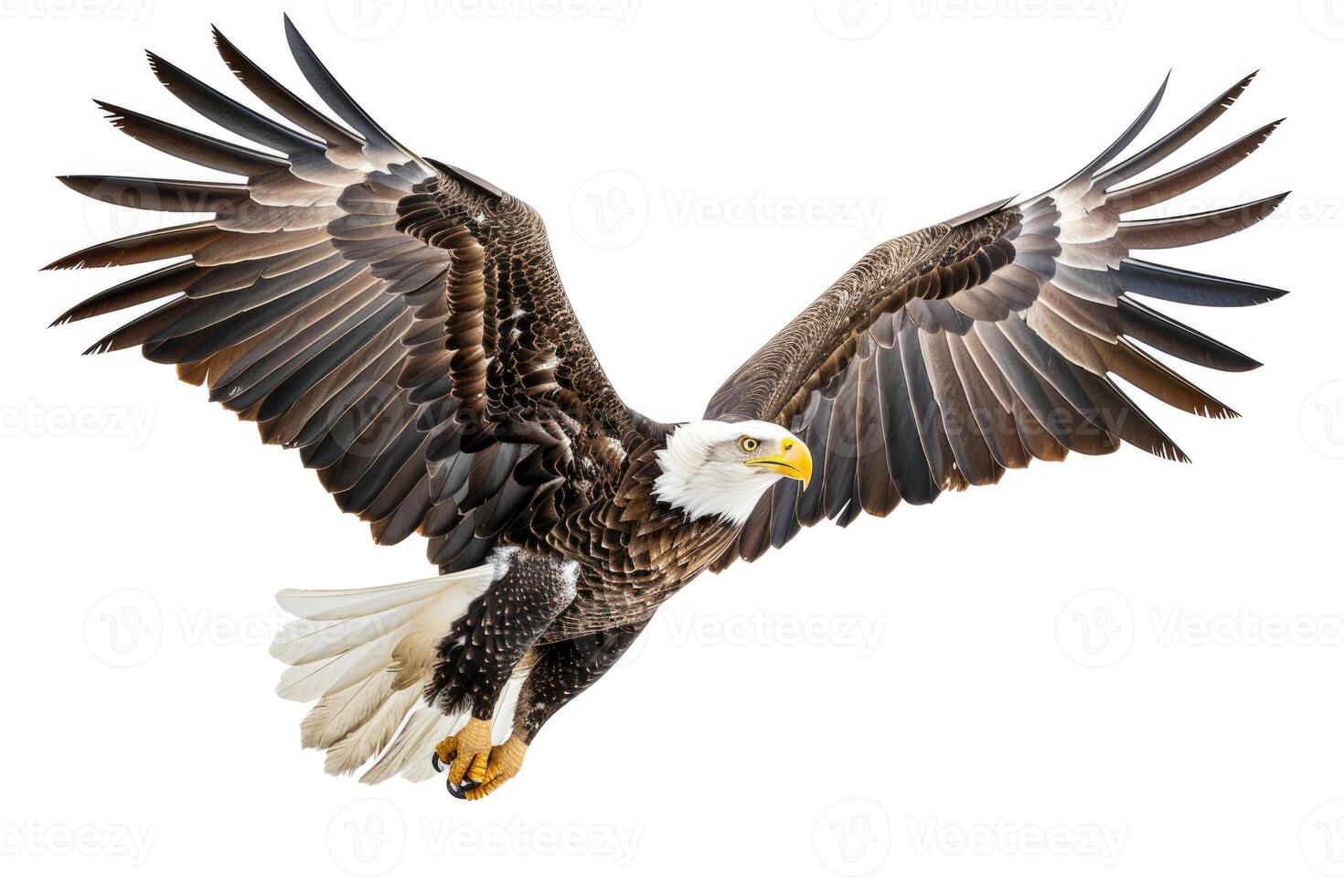 An eagle soaring with wings spread. photo