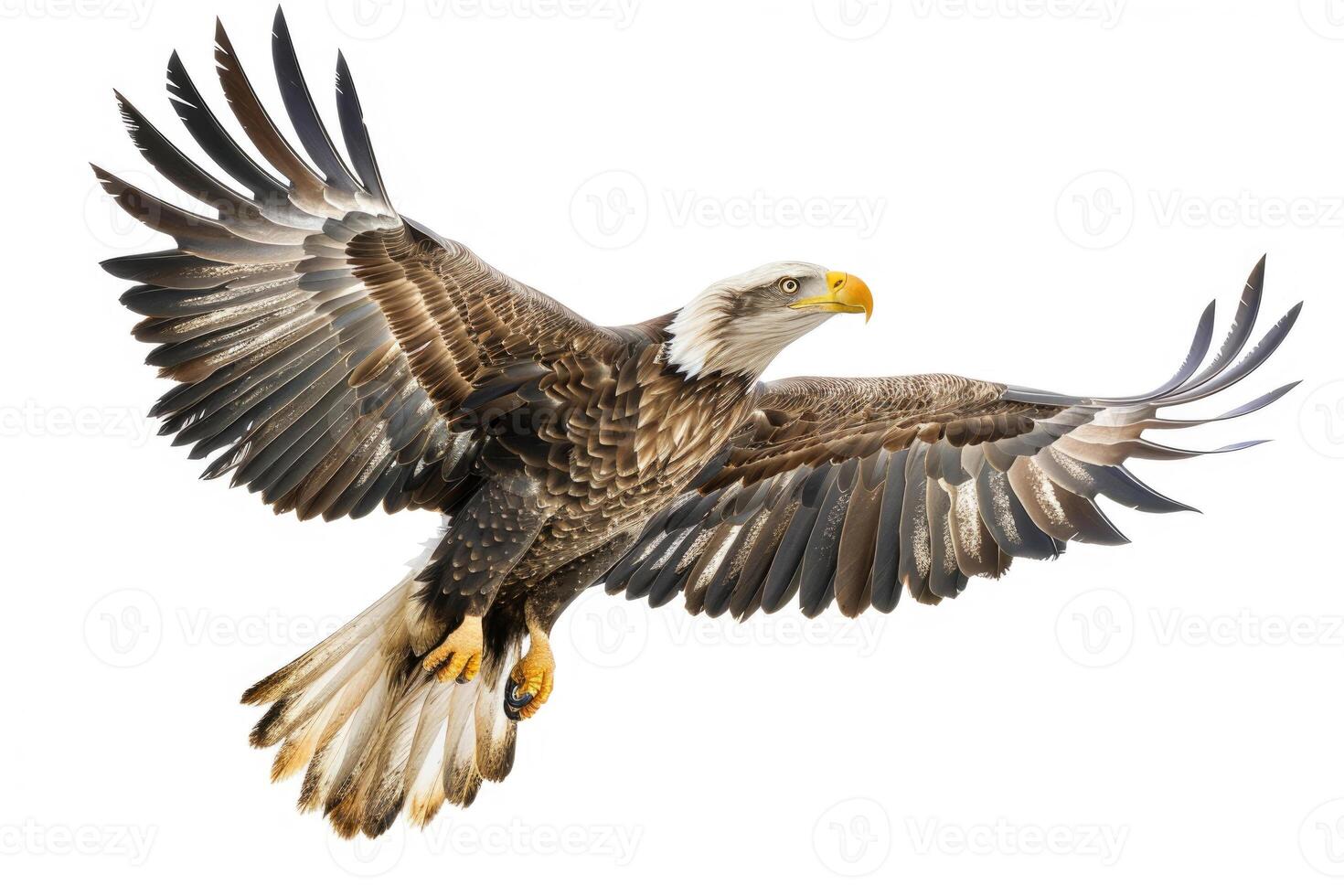 An eagle soaring with wings spread. photo