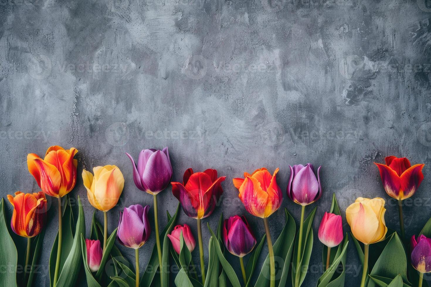 Tulip border with blank space. photo