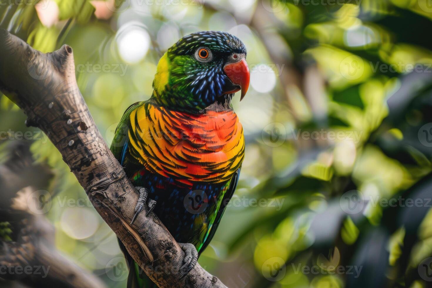 A playful parrot perched on a branch looks at the camera. photo