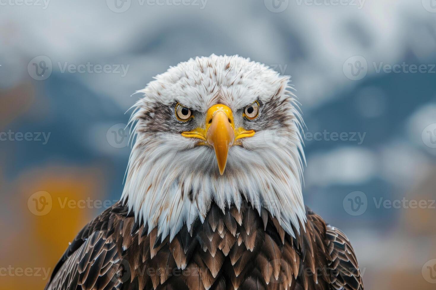 A majestic eagle with piercing eyes stares into the camera. photo