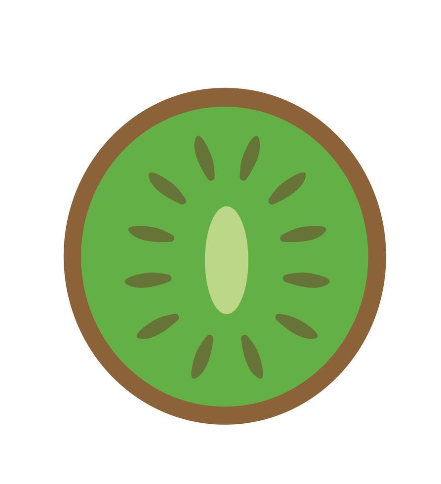 kiwi fruit green half round colorful flat design vector