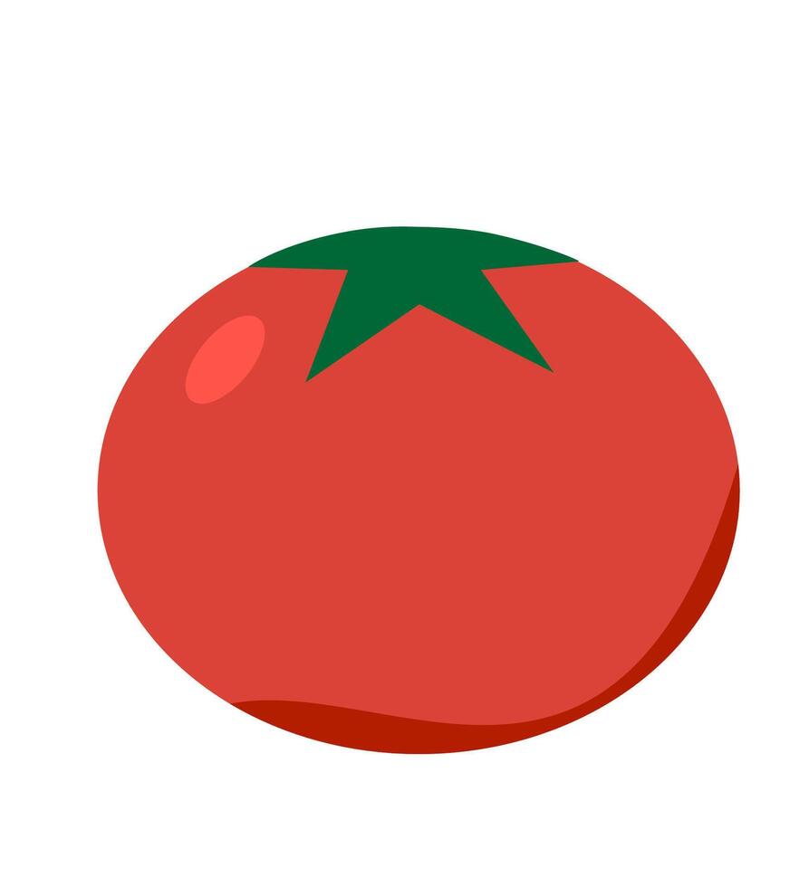 tomato vegetable object colorful flat design vector