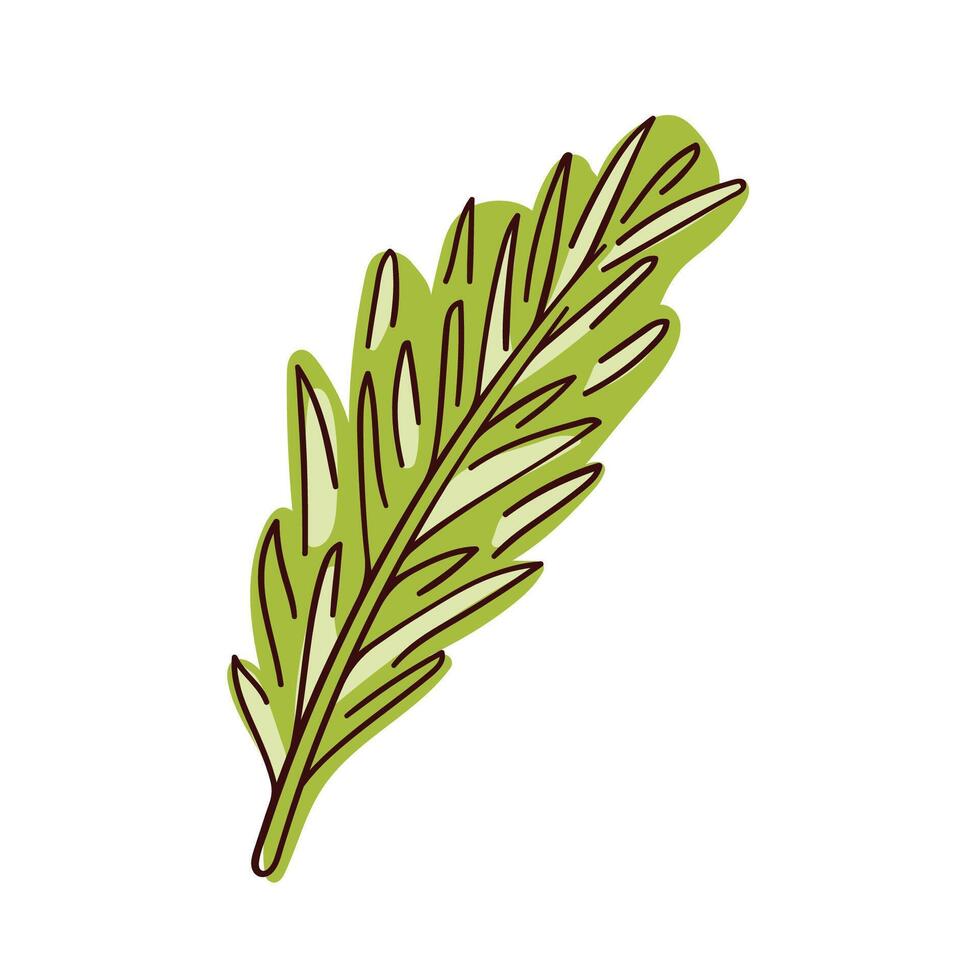 Rosemary plant, fresh green herb branch in flat style. Organic aromatic spices for cooking food, culinary, menu design. illustration isolated on a white background. vector