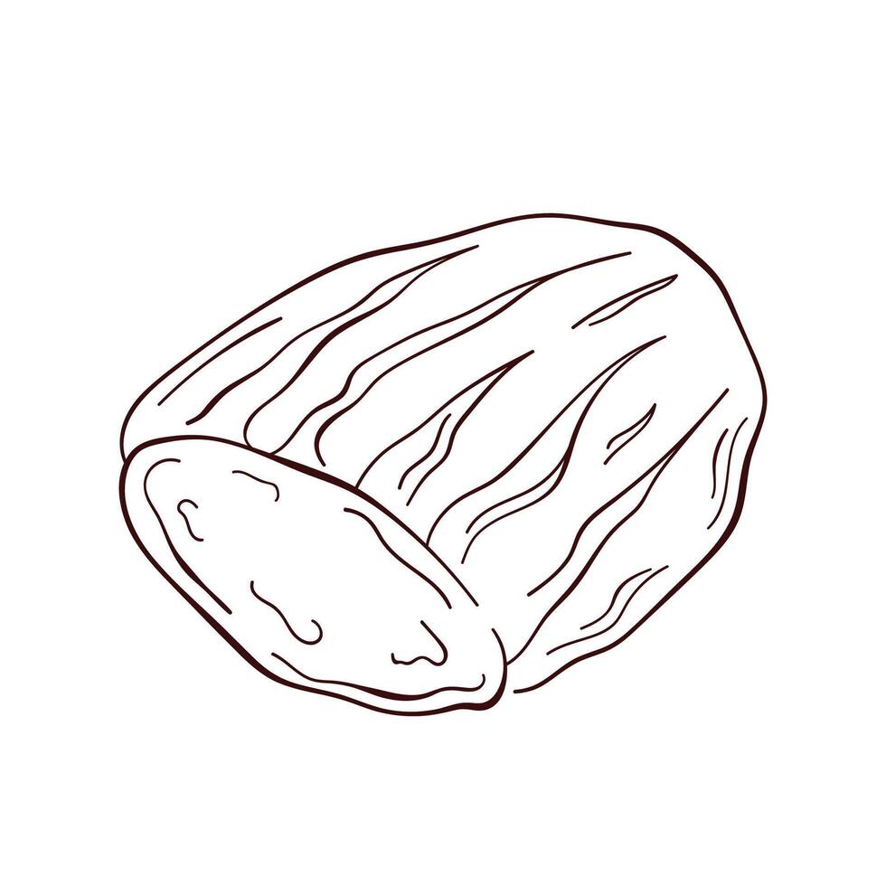 Sliced bread in line art style. Bakery product, loaf sketch. illustration isolated on a white background. vector