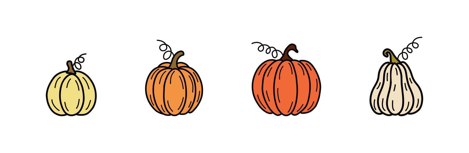 Autumn set of colorful various doodle pumpkins in flat style isolated on white background. Set of hand drawn cute and cozy design elements, Thanksgiving Day, Pumpkin season, fall, harvest vector