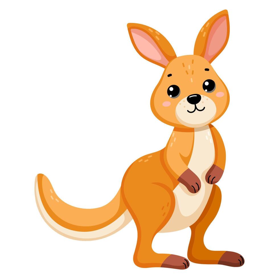 African wild kangaroo vector