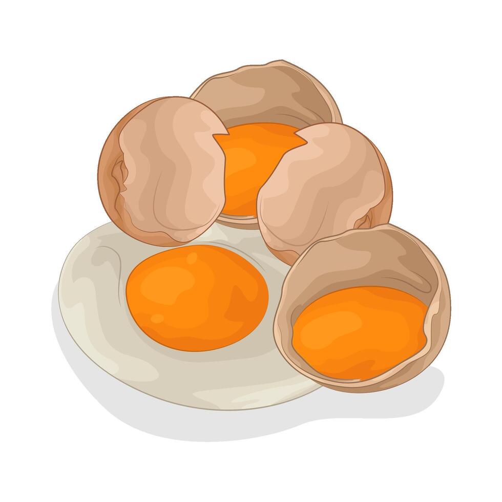 Illustration of egg vector