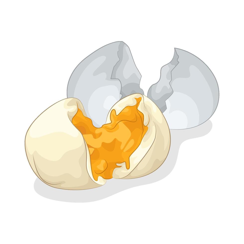 Illustration of boiled egg vector